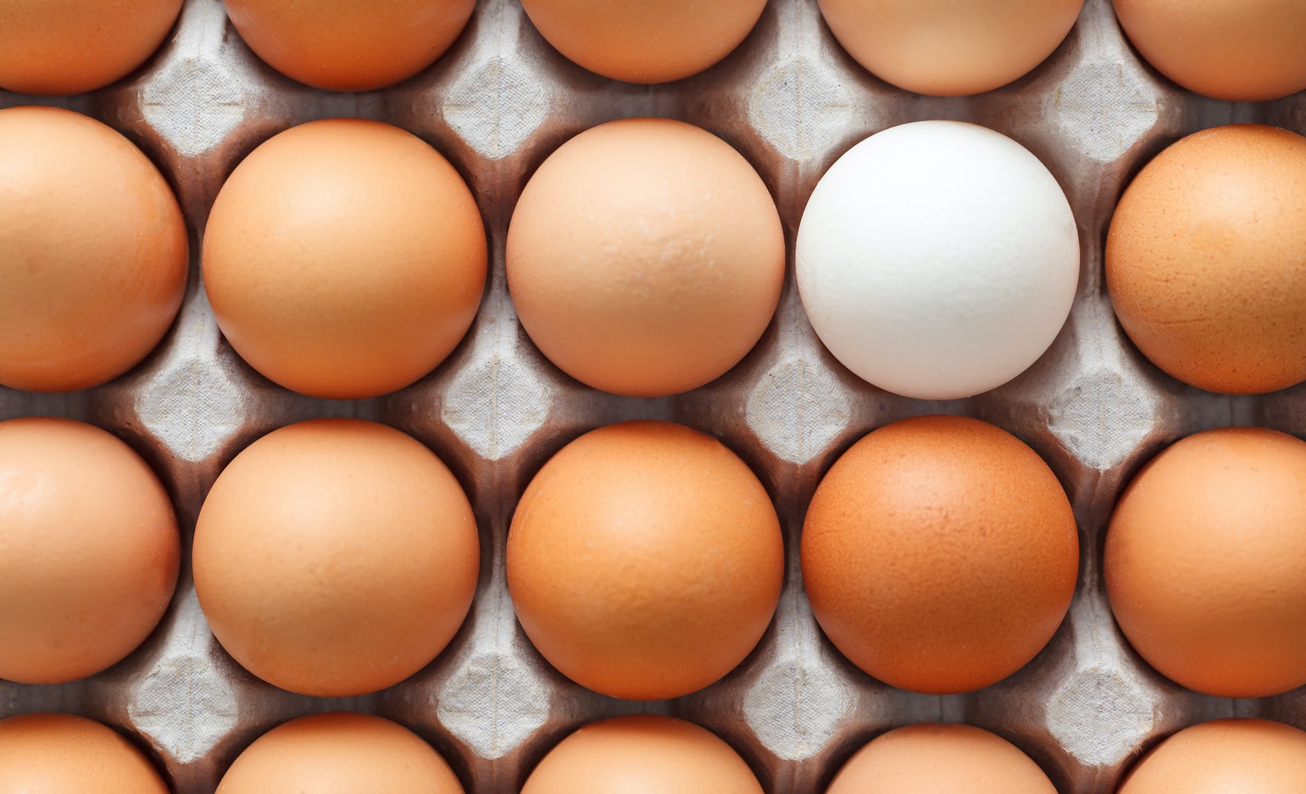 set of white and brown chicken eggs in container